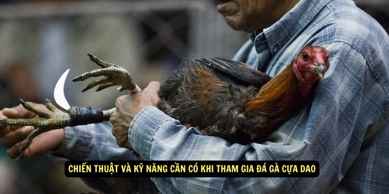 Đá Gà Cựa Dao - Cách Tham Gia, Chiến Thuật Và Luật Chơi 5 Chiến thuật và kỹ năng cần có khi tham gia Đá gà cựa dao