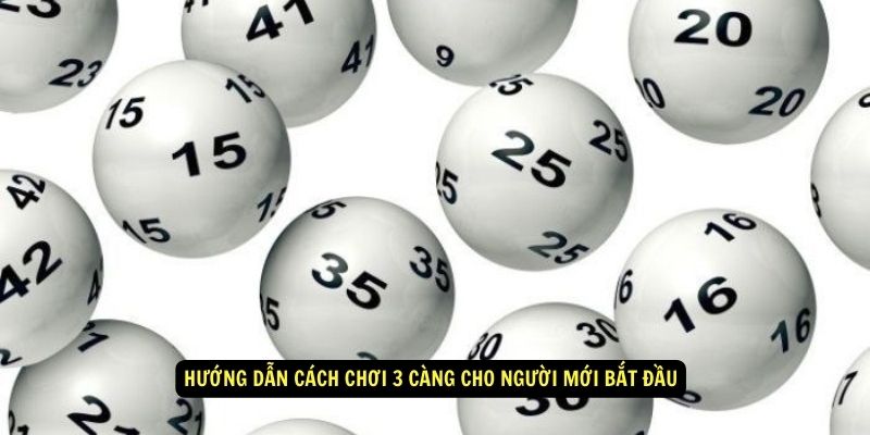 3 Càng Là Gì? Kinh Nghiệm Chọn Số Đẹp Cho Ngày Hôm Nay 5 Hướng dẫn cách chơi 3 càng cho người mới bắt đầu