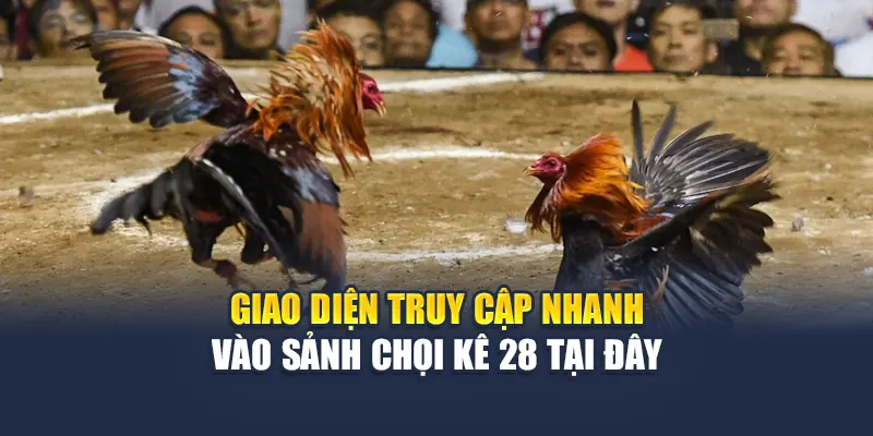Trải Nghiệm Khó Quên Tại Sảnh Đá Gà 28 Của Nhà Cái 78WIN 4 Giao diện truy cập nhanh vào sảnh chọi kê 28 tại đây