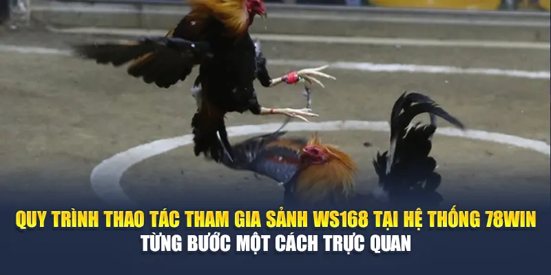 Sảnh Đá Gà WS168 Tại 78WIN Cuộc Đấu Đỉnh Cao Mở Màn 6 Quy trình thao tác tham gia sảnh WS168 tại hệ thống 789WIN từng bước một cách trực quan